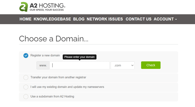 a2 hosting domain registration with a search bar as well tick boxes below