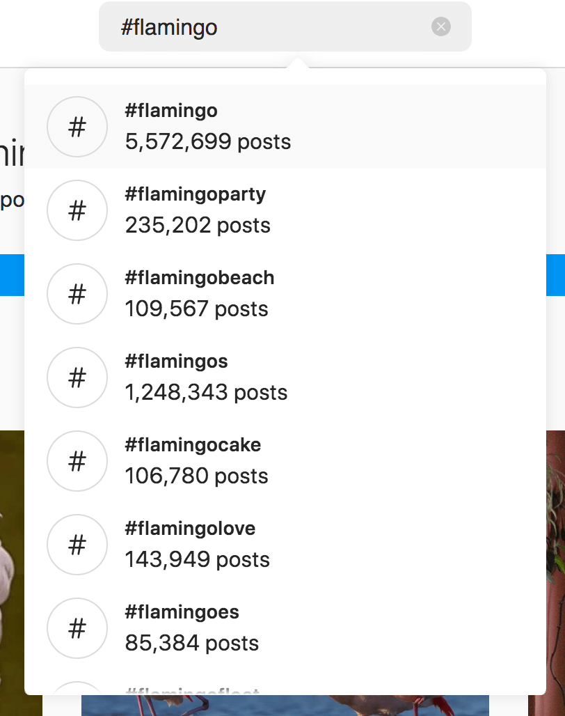 Instagram hashtag list for #flamingo search