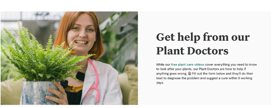 Patch website advertising its Plant Doctors.