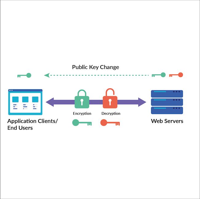 Diagram showing public key change in SSL