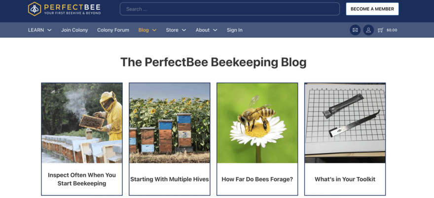 The Perfect Bee blog