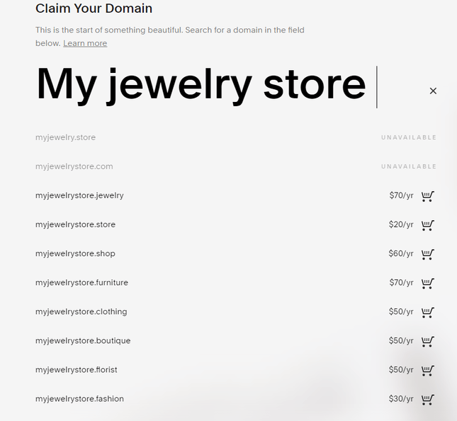 squarespace ecommerce jewelry domain