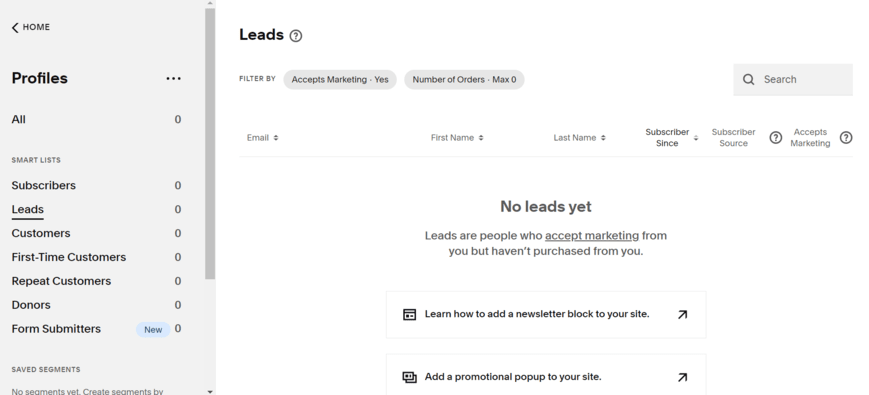 Leads analytics in Squarespace's backend dashboard